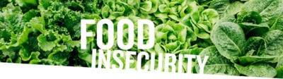 food insecurity header