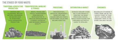 infographics on food waste