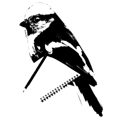 writer birdy