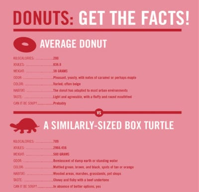 Donut Facts