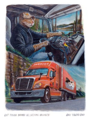 Cat Truck Driver Delivering Oranges Ray Young Chu