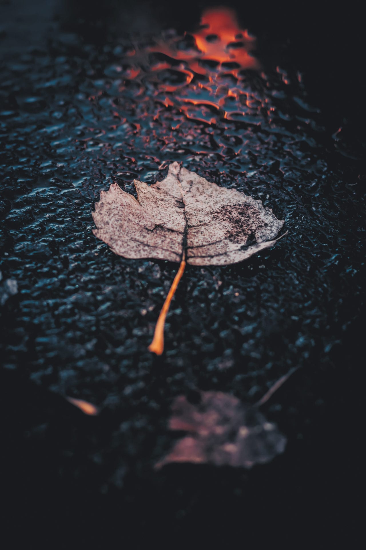 John Noonan photography