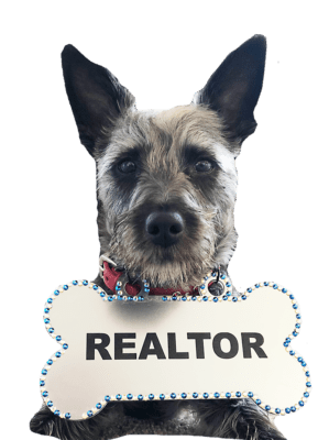 Denver Real Estate Professionals