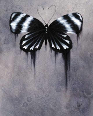 black and white butterfly by mallory hart