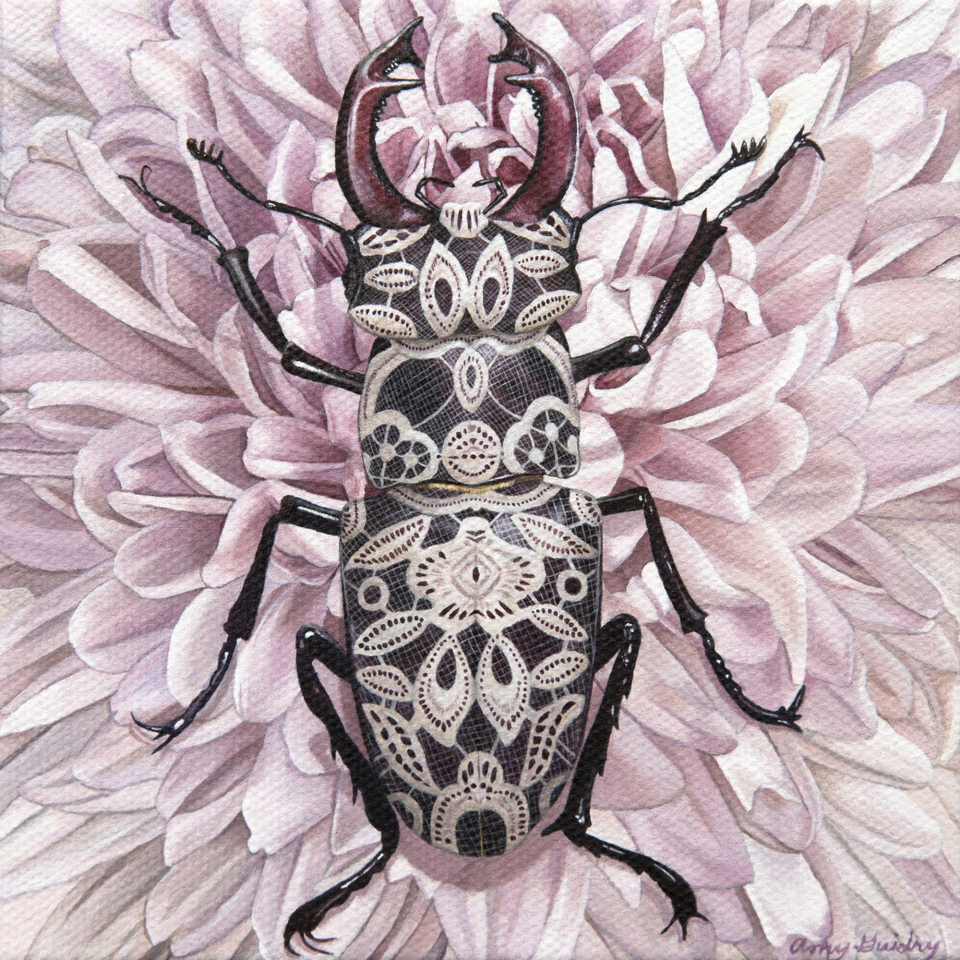 Delicate by Amy Guidry