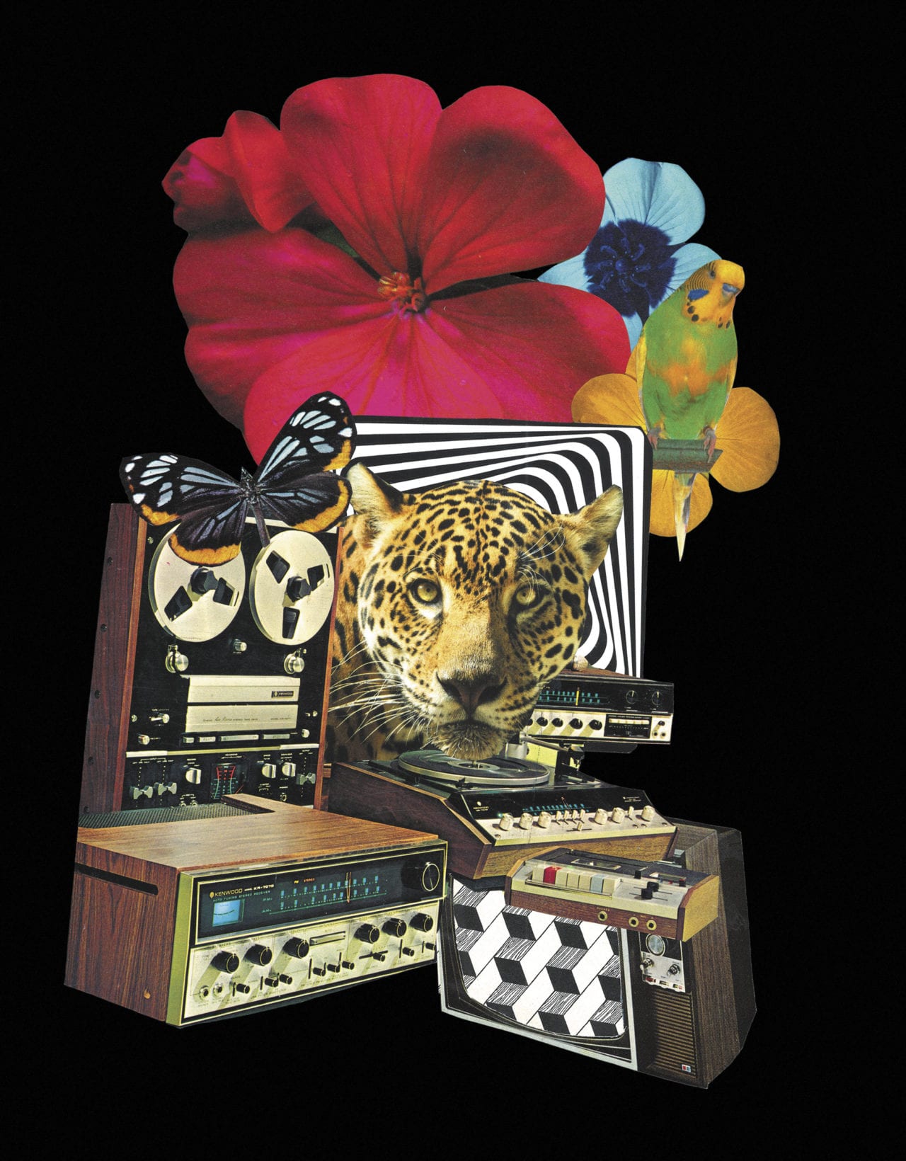 WAY BACK Steve Haney BIRDY MAGAZINE