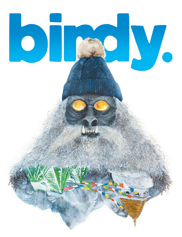 Birdy Issue 084 cover