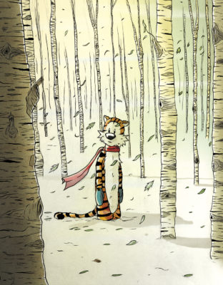 GuillermoAndazola_Hobbes_084