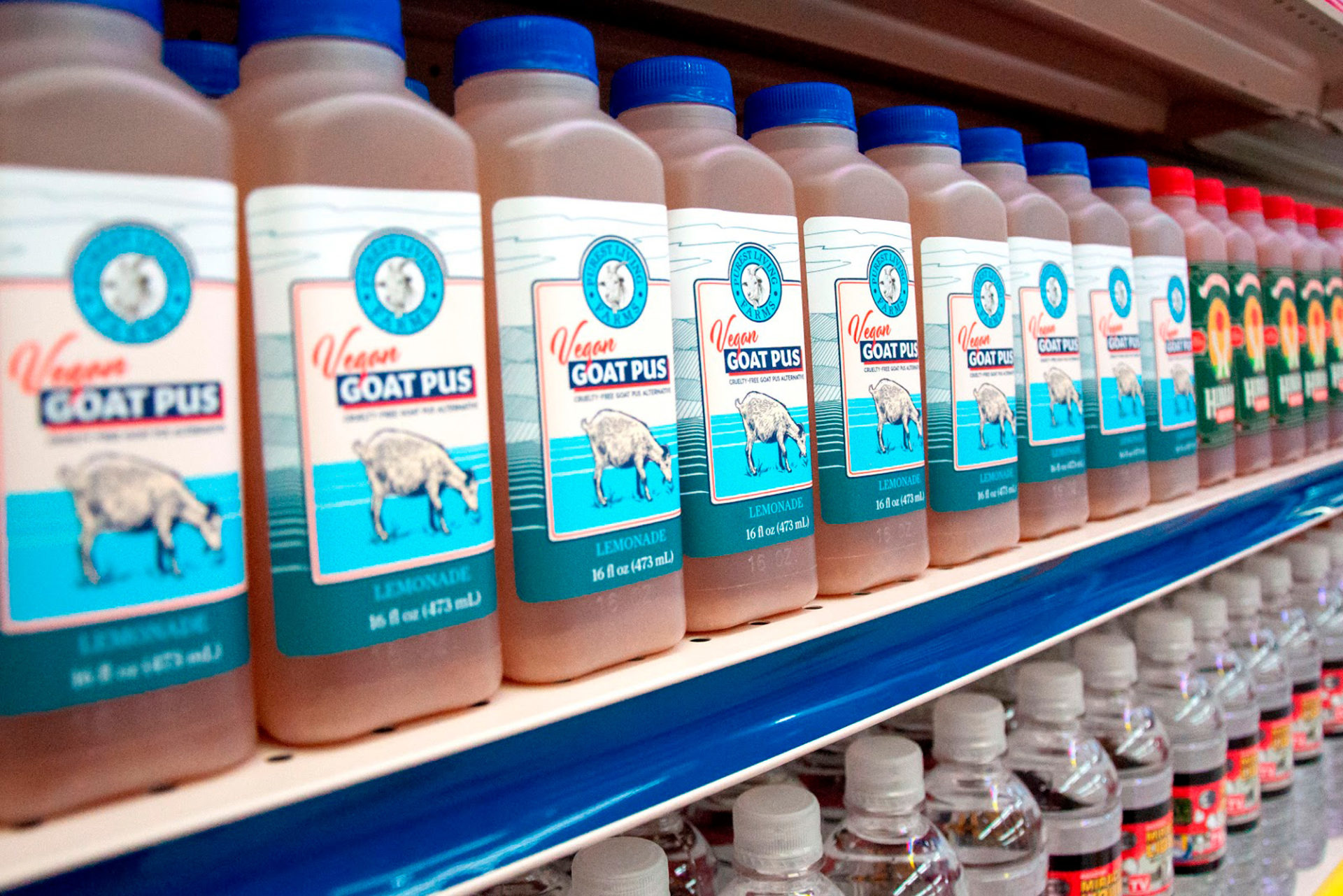 10 Meow Wolf Omega Mart Products You Don’t Wanna Miss By Dave Jasmon