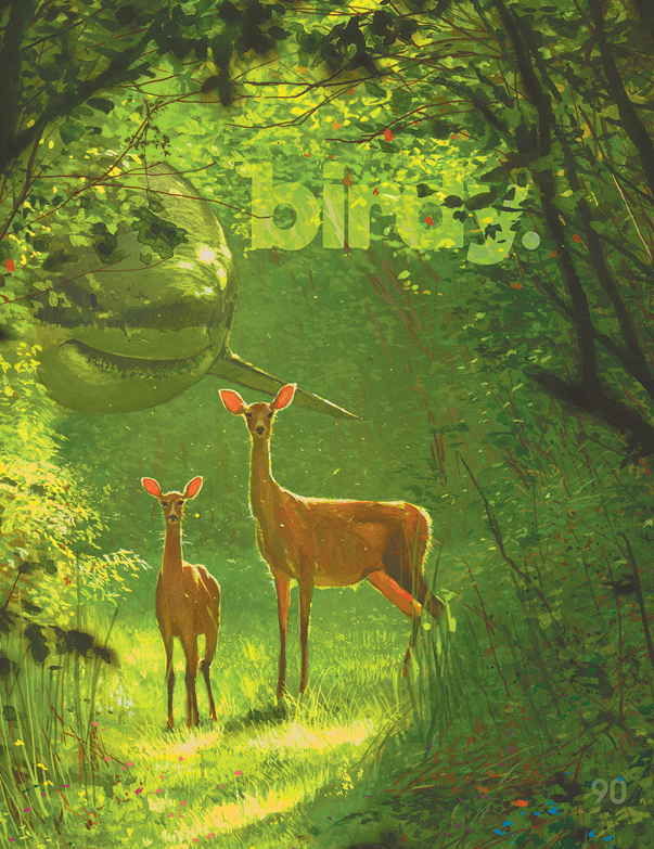 Birdy Issue 090 Cover