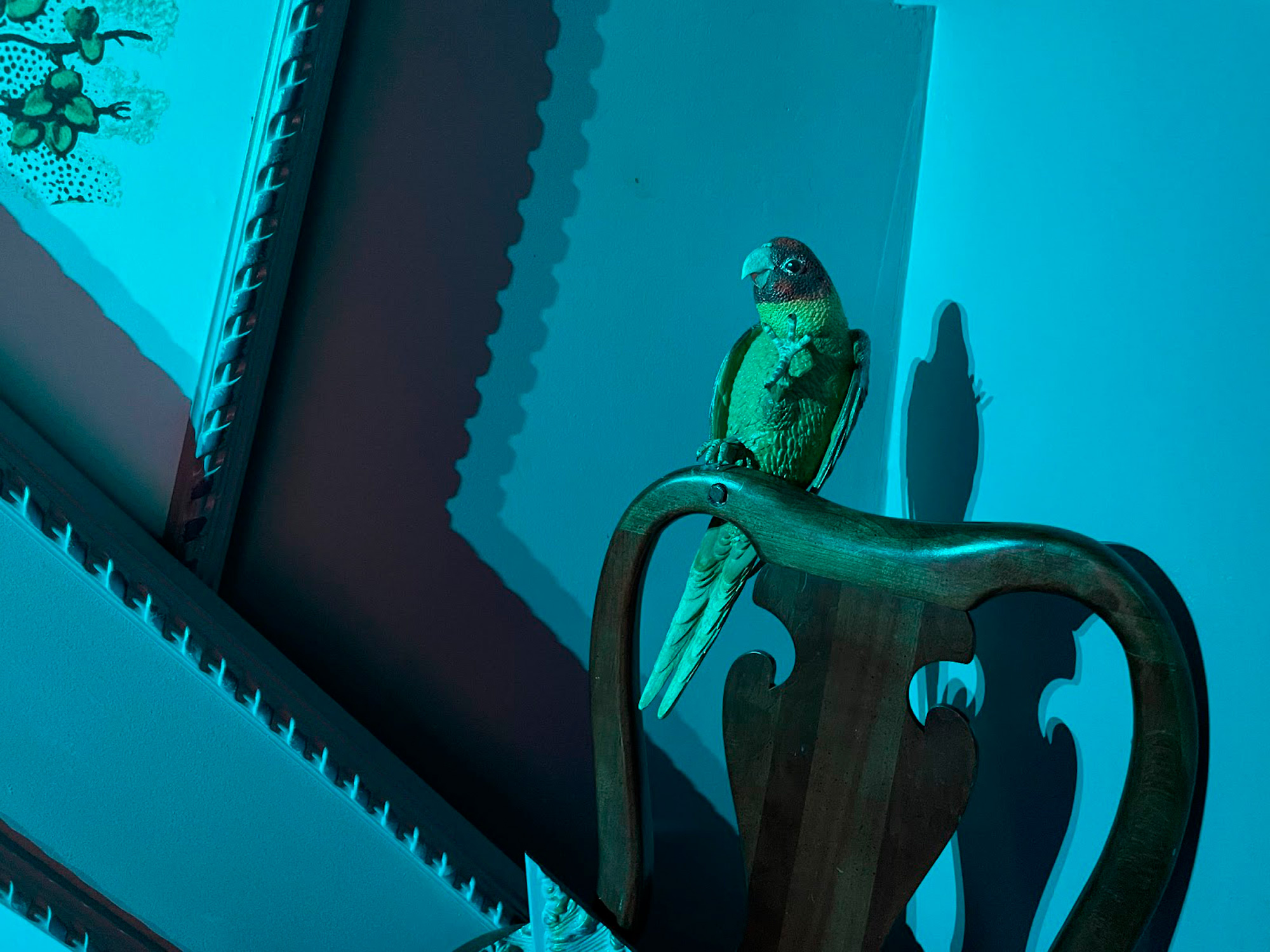 Carolina-Parakeet-within-The-Parlour-Birds_Photo-by-Caity-Kennedy-TheParlourBirds_MeowWolf_AllysonLupovich