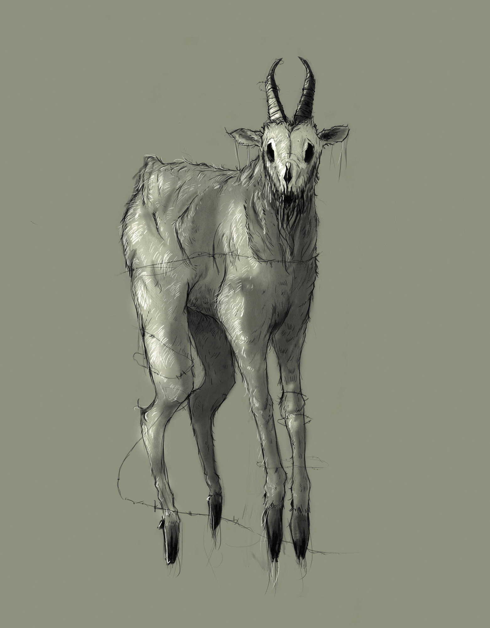 GuillermoRuiz_Goats_097_THE GOAT by Zac Dunn