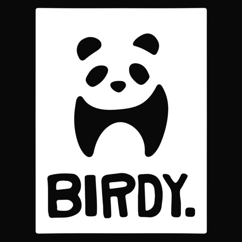 Bamboo Panda Hoodie Birdy Magazine
