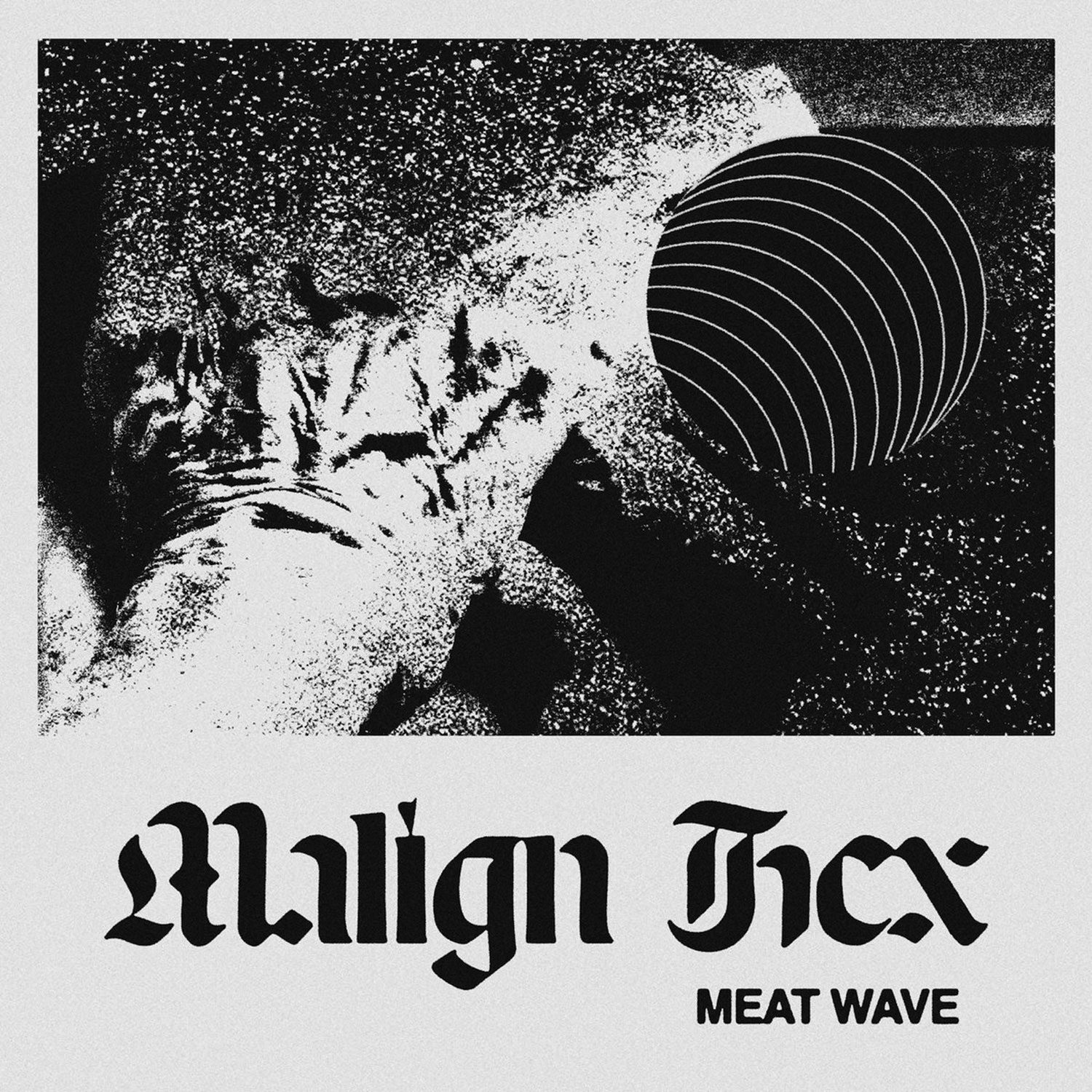 MeatWave_MalignHex_Queen City Sounds Best of 2022 by Tom Murphy