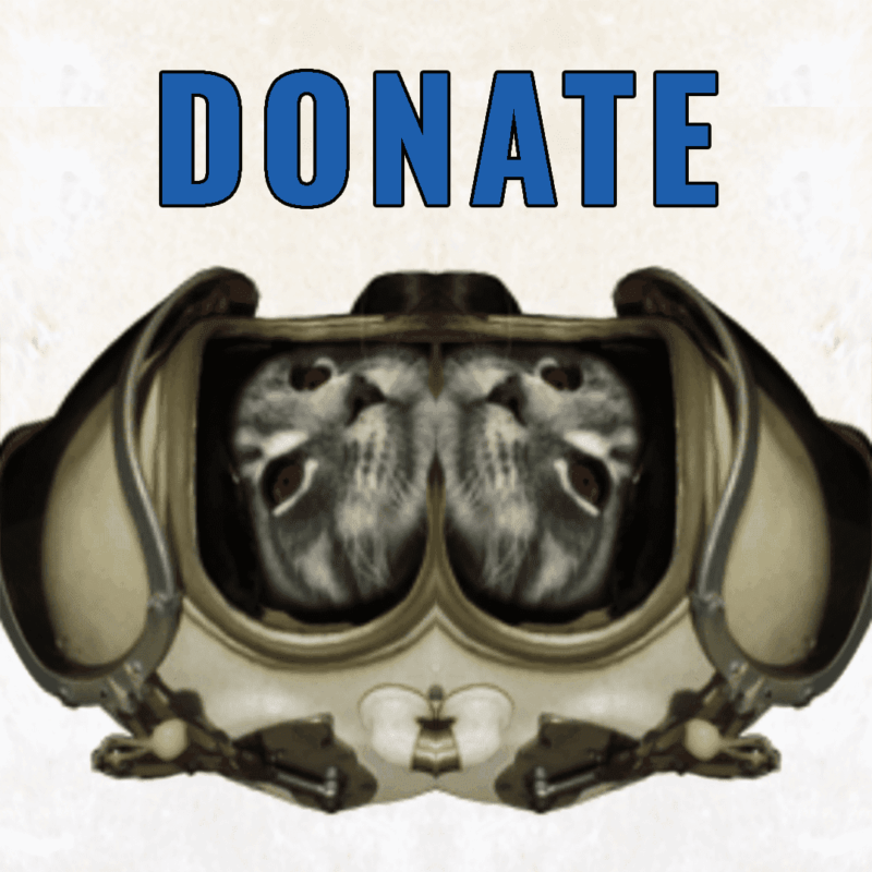 Donate To Birdy