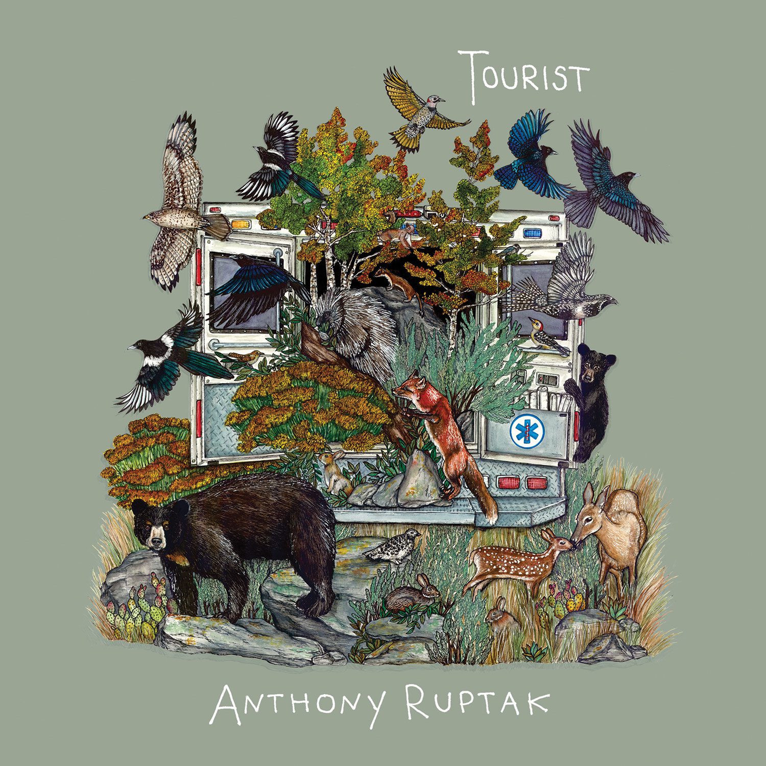 Cover art of Tourist by Anthony Ruptak featuring a forest scene bursting from the back of an ambulance, surrounded by animals and birds, blending wilderness and rescue themes.