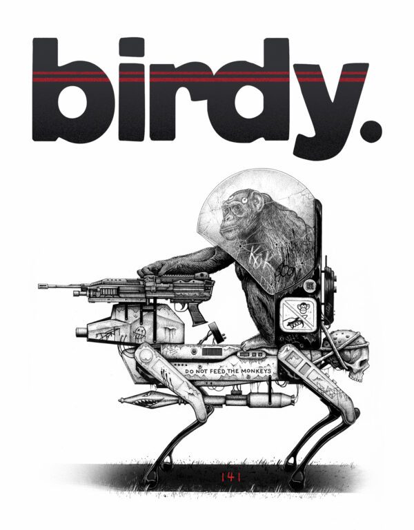 Birdy Cover Poster