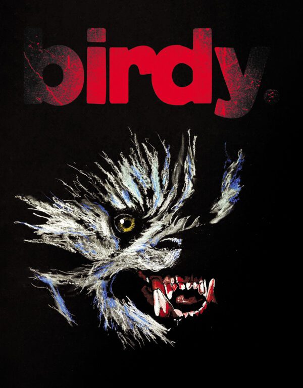 Birdy Cover Poster